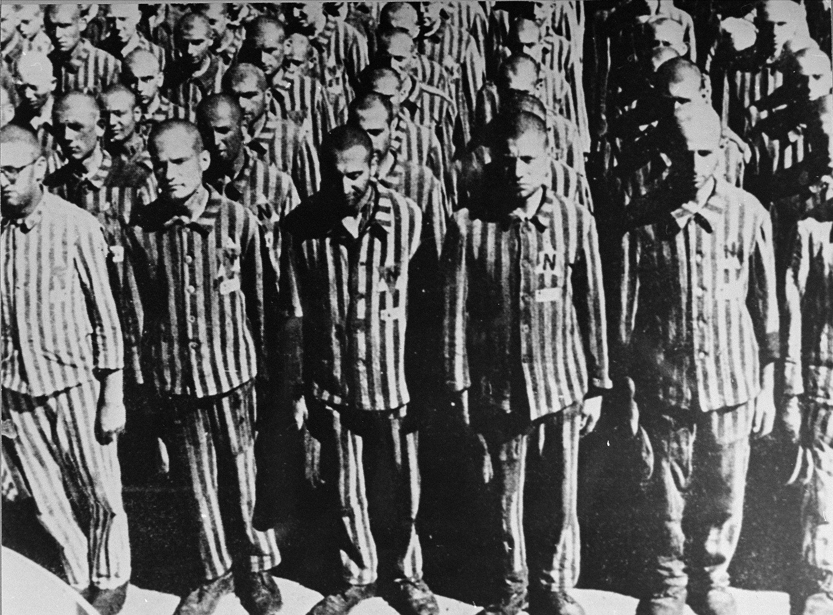 Buchenwald