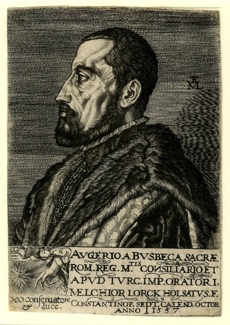 Ogier Ghislain de Busbecq