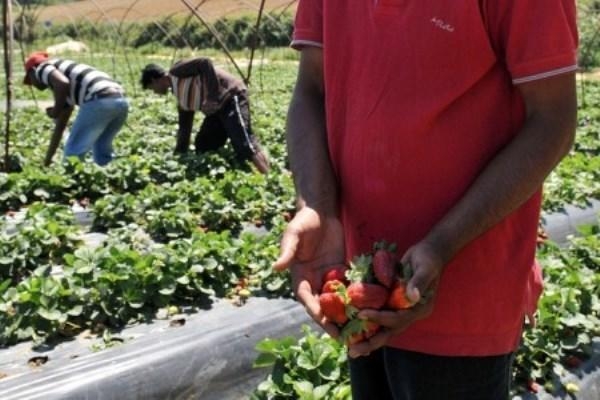Τρεις λόγοι για τους οποίους οι προσωρινές άδειες εργασίας για τους πρόσφυγες είναι θετική εξέλιξη
