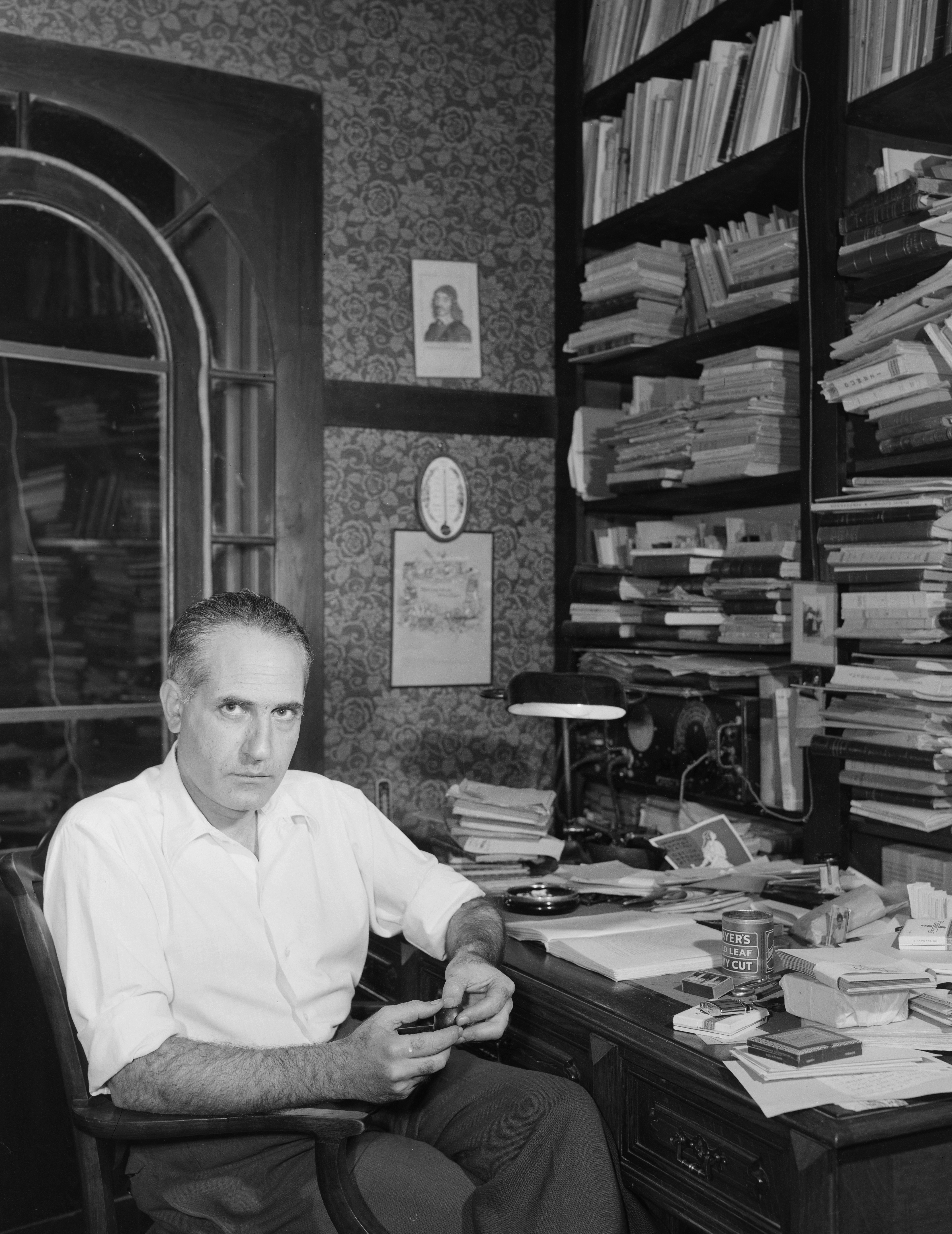 Παπιγιόν με κλιπς